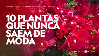 10 PLANTAS que NÃO SAEM DE MODA [upl. by Colver]