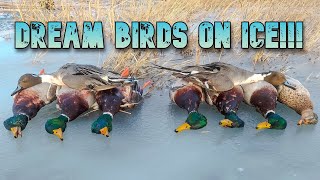 DREAM PINTAIL Duck Hunting the CENTRAL FLYWAY Ft High Prairie Sportsman [upl. by Adolphe]