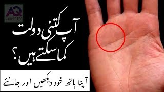 How much Wealth in your palm Explanation about Money Line Palmistry  Astrologer Ali Zanjani [upl. by Cynarra]