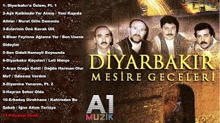 Diyarbakır Mesire Geceleri  Fincanın Etrafı [upl. by Kemble839]