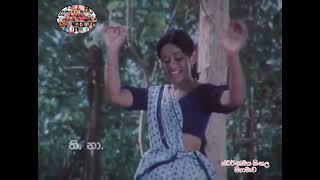 ඉද්දමල් කතාවේ කුමරී… Iddamal Kathawe Kumari අරලිය මල් 19850315 සින්හල චිත්‍රපටයෙන් [upl. by Utimer]