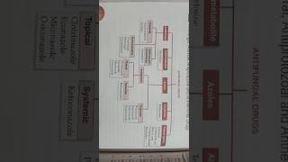 Antifungal drugs classification b pharmacy classification shorts shotsvideo viralshorts short [upl. by Katharina]