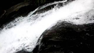 Kerala beauty Thusharagiri waterfalls HD [upl. by Iraj]