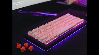 Cheap Gasket Mount Keyboard Rebel60 Soundtest  AKKO CS Radiant Red [upl. by Ajnat263]