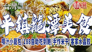 【桃園平鎮、龍潭美食】噴汁小籠包士官長胡椒蔥餅幽靈餐車肉圓手作米干客家水晶餃自助餐188吃到飽客家牛汶水總鋪師活魚料理 [upl. by Yert]