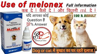 Melonex oral suspension  Dog or cat  कितनी ml दे। क्या क्या use आती है । Full information [upl. by Eno]