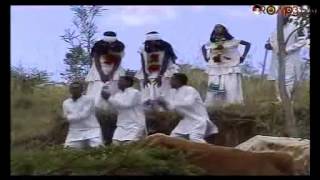 Amin Husen Baalen bua Oromo Music [upl. by Nnylirehs168]