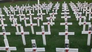 Devonport Field of Remembrance  Auckland New Zealand [upl. by Carnahan623]