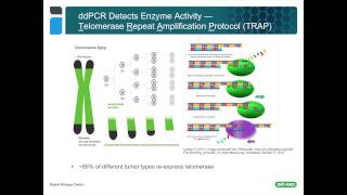 Using Droplet Digital™ PCR for Cancer and Liquid Biopsy Studies [upl. by Oenire]