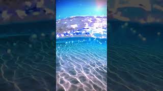 crystal clear under water 💦🌊 crystalwaters shorts viralshorts nature seabeach [upl. by Post]