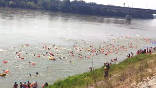 Bratislava plávanie cez Dunaj  Trans Danube Swim 2024 [upl. by Etna878]