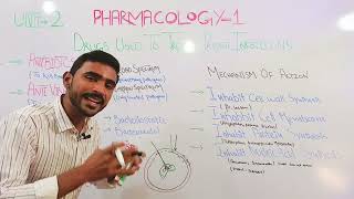 Antimicrobials Antimicrobial Drugs Antibiotics Antiviral Antifungal in HindiUrdu [upl. by Eshman]