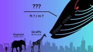 How Big are Animals  From an Ant to the LARGEST Creature on Earth [upl. by Grogan743]