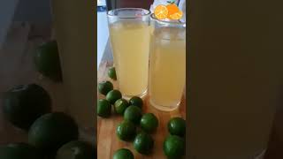 HEALTHY DRINK  CALAMANSI JUICE FRESH FROM THE BACKYARD [upl. by Mikiso829]