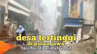 Penampakan desa tertinggi di pulau Jawa yang diselimuti kabut [upl. by Airal]