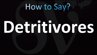 How to Pronounce Detritivores correctly [upl. by Cressy]