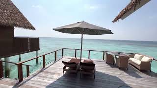 Maldives North Ari Atoll  Kandolhu Maldives  Ocean Villa  80 sqm  room 204  video room tour [upl. by Agace]