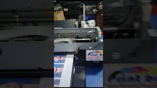 Epson L805 Printer Head Problem lining on photo [upl. by Nylidam741]