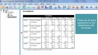 How to Interpret a Correlation Matrix [upl. by Nivlem]