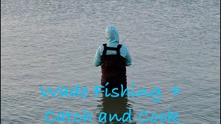 Wade Fishing in Galveston Catch and Cook [upl. by Epoillac30]