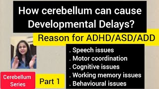 How cerebellum can cause developmental delaysReason for ADHDASDADD amp learning issuespart 1 [upl. by Zetniuq240]