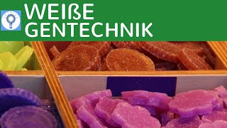 Weiße Gentechnik  Genetik in der Industrie einfach erklärt  Vor amp Nachteile  Gentechnologie [upl. by Lyudmila]