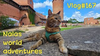 Nala walking around Turaida Castle 🏰 Vlog 167 [upl. by Madella100]