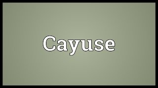 Cayuse Meaning [upl. by Edea]