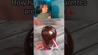 How Harmful Cigarettes Are To Health [upl. by Vandyke137]