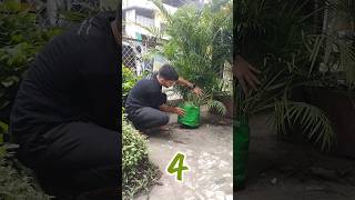 Magical homemade fertilizers  झूम उठेंगे पौधे बस ये जादूई चीजें डाल दो🥛🌿shorts viral gardening [upl. by Aruasi635]