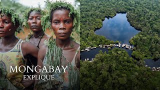 Les tourbières du Bassin du Congo  Mongabay Explique [upl. by Lessur]