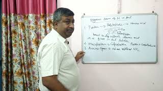 Organic and Inorganic Form of Nitrogen in Soil [upl. by Aman]