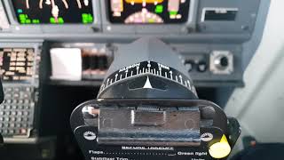 UHD B737 Aileron trim movement during light turbulence [upl. by Voletta]