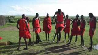 Masai Mara National Park Kenya  Warriors Dance [upl. by Itnuahsa]