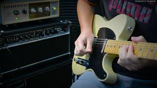 Telecaster with Raw Vintage RVTE Pickups [upl. by Nylynnej895]