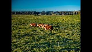 Elders NSW amp Elders Tamworth  ‘Lochaber’ Walcha NSW [upl. by Petracca]