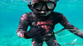 SPEARFISHING IN OKINAWA JAPAN  1 Pot Recipe Catch and Cook [upl. by Trebor]