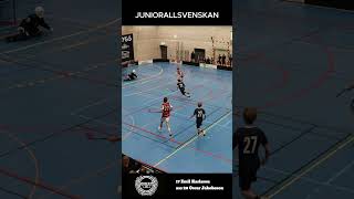 JAS HIK InnebandyFloorball [upl. by Hannad]