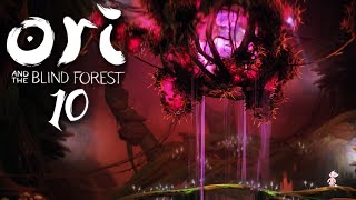 ORI AND THE BLIND FOREST 010  Befreien wir sein Herz [upl. by Fayth]