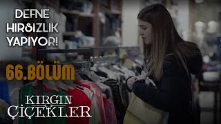 Kırgın Çiçekler 66 Bölüm  Defne hırsızlık yapıyor [upl. by Eihtur966]