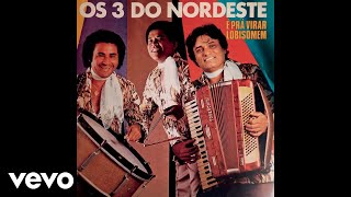 Os 3 Do Nordeste  Forró Casamenteiro Áudio Oficial [upl. by Grindle]