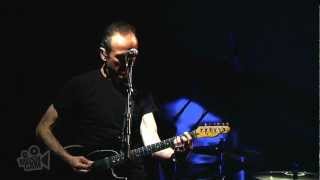 Hugh Cornwell  Golden Brown The Stranglers Live in Los Angeles  Moshcam [upl. by Analiese453]