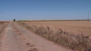 Une centaine d’exploitants agricoles irriguent leurs champs malgré les arrêtés préfectoraux [upl. by Disini599]