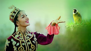 Uyghur Traditional Dance  Janan  Kashgar [upl. by Dijam408]