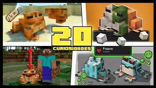 20 CURIOSIDADES SOBRE O SAPO DO MINECRAFT [upl. by Idok]