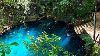 Diving Cenotes in Cancun Kin Ha amp Zapote [upl. by Barnard]