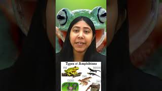 Class Amphibia  Characteristics and Examples  Tetrapod Animal  Biology  Class11  Adhyayanta [upl. by Corine]