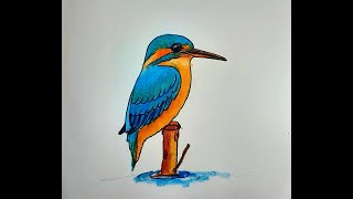 How to draw a kingfisher step by step Easy kingfisher drawing Kingfisherসহজে মাছরাঙ্গা পাখি আঁকা [upl. by Eatnom]