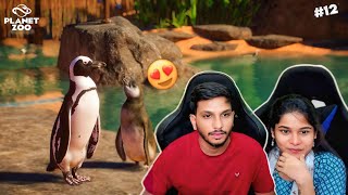 KING PENGUIN IN MY ZOO  PLANET ZOO IN TELUGU  PART 12 [upl. by Anidene504]