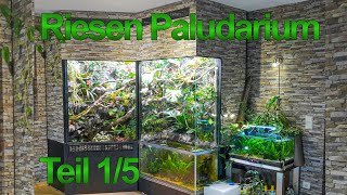 Paludarium  AquaTerrarium Bau für Spitzkopfnatter Teil 1 [upl. by Akehsyt]